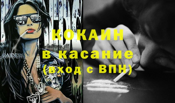 гашик Алексеевка