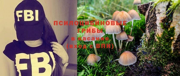 гашик Алексеевка