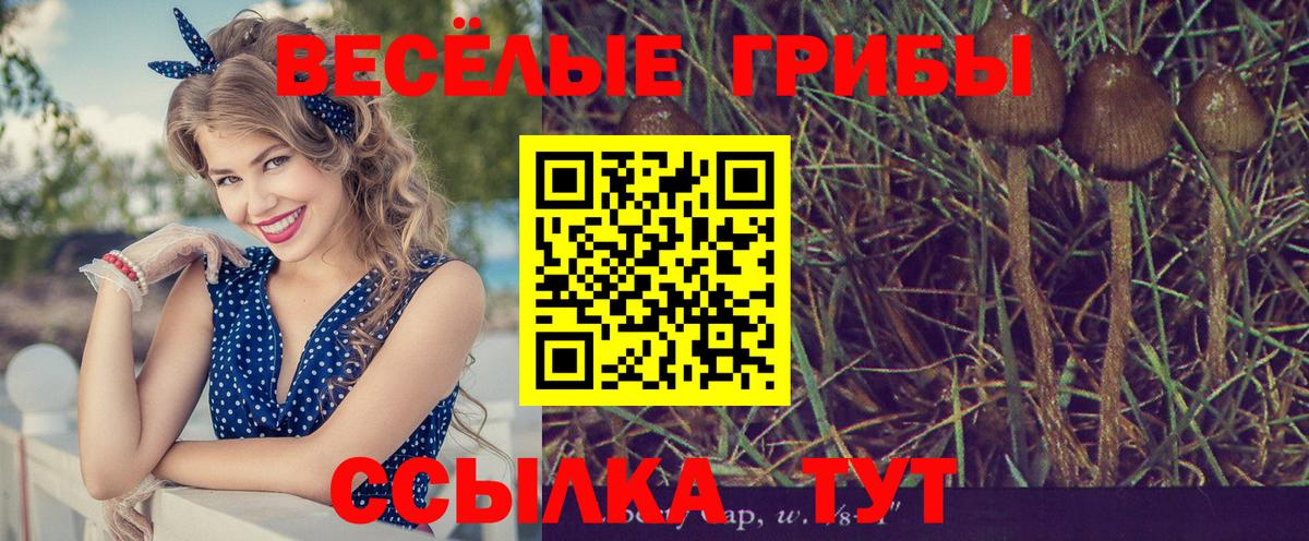 Галлюциногенные грибы ЛСД Калач-на-Дону