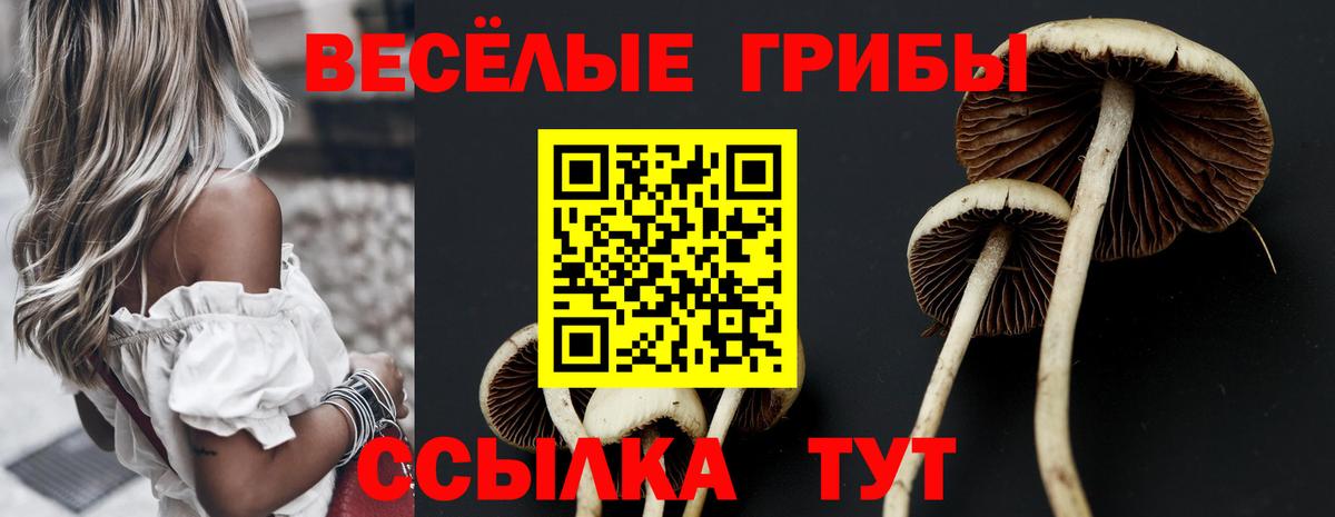 Псилоцибиновые грибы мухоморы  Вход с VPN  Калач-на-Дону  Галлюциногенные грибы GOLDEN TEACHER 